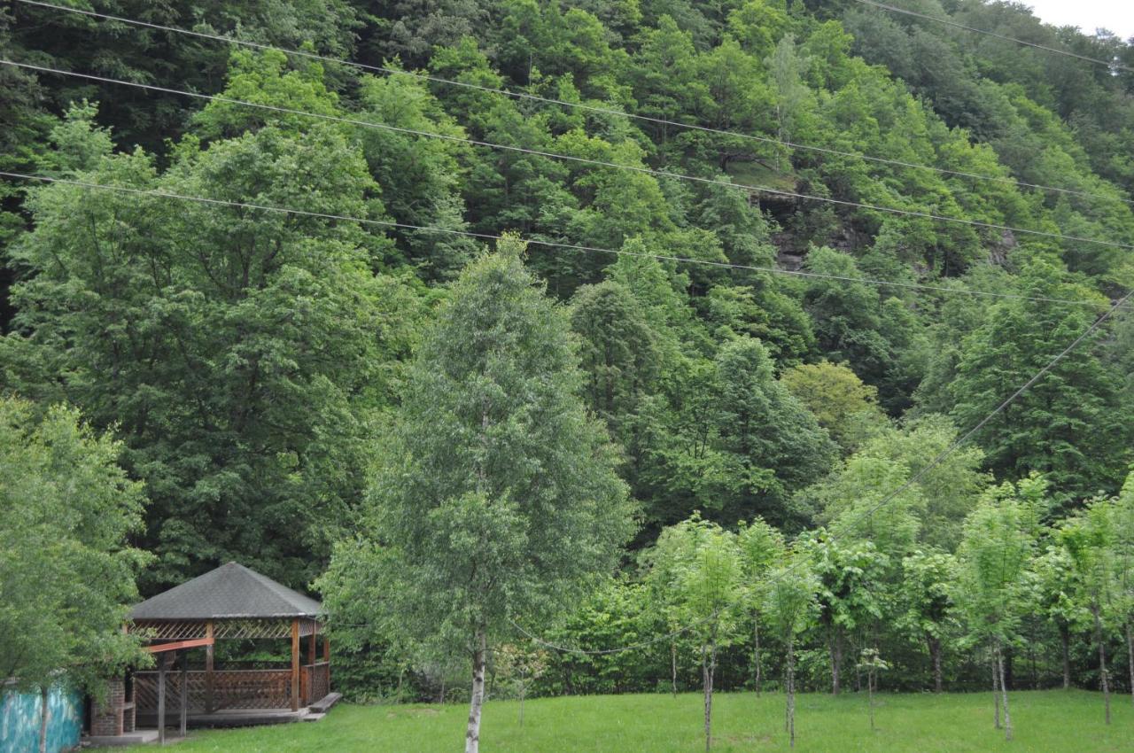Hotel Casa Verde à Rîu de Mori Extérieur photo